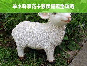 羊小咩享花卡额度提现全攻略