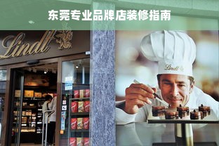 东莞专业品牌店装修指南