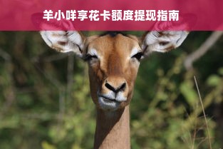 羊小咩享花卡额度提现指南
