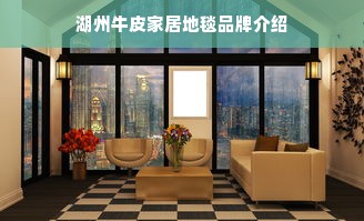 湖州牛皮家居地毯品牌介绍