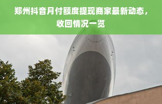 郑州抖音月付额度提现商家最新动态，收回情况一览