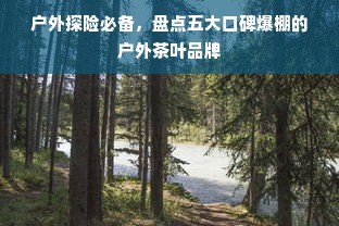 户外探险必备，盘点五大口碑爆棚的户外茶叶品牌