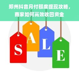 郑州抖音月付额度提现攻略，商家如何高效收回资金