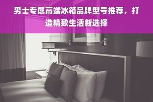 男士专属高端冰箱品牌型号推荐，打造精致生活新选择