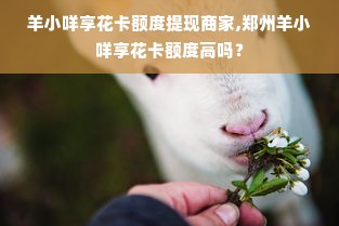 羊小咩享花卡额度提现商家,郑州羊小咩享花卡额度高吗？