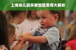 上海幼儿园早教加盟费用大解析