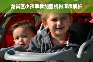 龙岗区小孩早教加盟机构深度解析