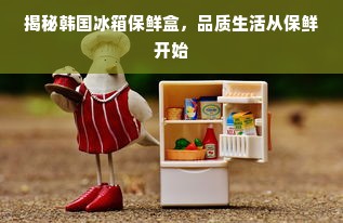 揭秘韩国冰箱保鲜盒，品质生活从保鲜开始