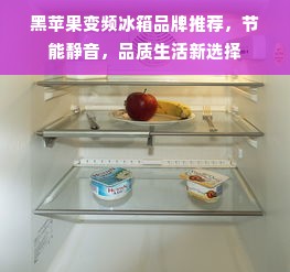 黑苹果变频冰箱品牌推荐，节能静音，品质生活新选择