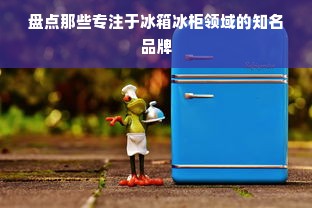 盘点那些专注于冰箱冰柜领域的知名品牌