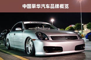 中国豪华汽车品牌概览