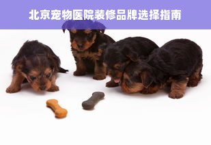 北京宠物医院装修品牌选择指南