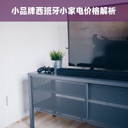 小品牌西班牙小家电价格解析