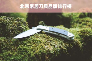 北京家居刀具品牌排行榜