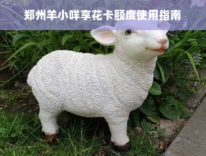 郑州羊小咩享花卡额度使用指南