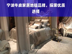 宁波牛皮家居地毯品牌，探索优质选择