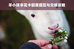 羊小咩享花卡额度提现与兑换攻略