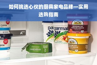 如何挑选心仪的厨具家电品牌—实用选购指南