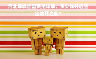 河北早教加盟费用详解，多少钱开启宝宝教育之旅？