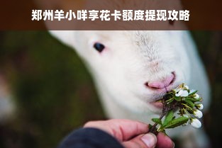 郑州羊小咩享花卡额度提现攻略