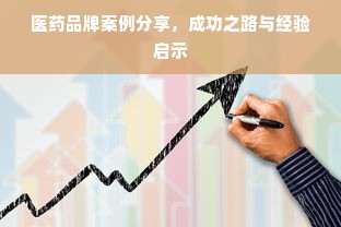 医药品牌案例分享，成功之路与经验启示