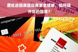 鹿优选额度提现商家全攻略，如何提升你的额度？