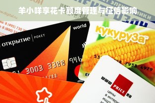 羊小咩享花卡额度管理与征信影响