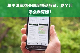 羊小咩享花卡额度提现商家，这个月怎么没有涨？