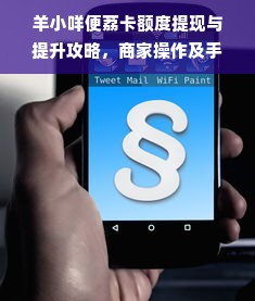 云南童装品牌连锁，民族风与商业模式的创新之路