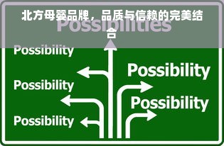 北方母婴品牌，品质与信赖的完美结合