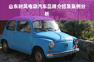 山东时风电动汽车品牌介绍及案例分析