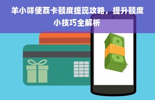 羊小咩便荔卡额度提现攻略，提升额度小技巧全解析