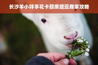 长沙羊小咩享花卡额度提现商家攻略