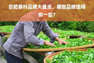 合肥茶叶品牌大盘点，哪些品牌值得你一尝？
