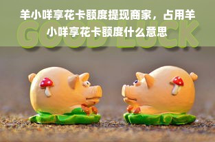 羊小咩享花卡额度提现商家，占用羊小咩享花卡额度什么意思
