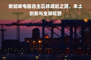 新加坡电脑自主品牌崛起之路，本土创新与全球视野