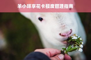 羊小咩享花卡额度管理指南