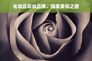 化妆品彩妆品牌，探索美丽之路
