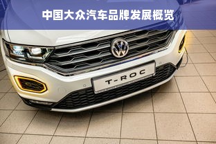 中国大众汽车品牌发展概览