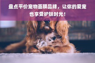 盘点平价宠物面膜品牌，让你的爱宠也享受护肤时光！