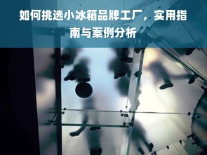 如何挑选小冰箱品牌工厂，实用指南与案例分析