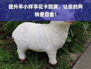 提升羊小咩享花卡额度，让你的购物更自由！