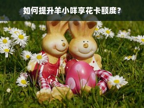 如何提升羊小咩享花卡额度？
