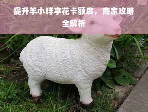 提升羊小咩享花卡额度，商家攻略全解析