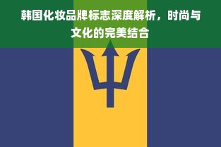 韩国化妆品牌标志深度解析，时尚与文化的完美结合