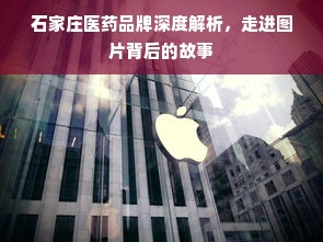 石家庄医药品牌深度解析，走进图片背后的故事