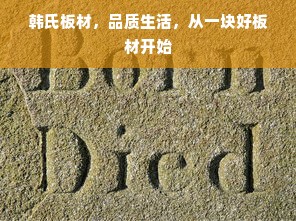韩氏板材，品质生活，从一块好板材开始