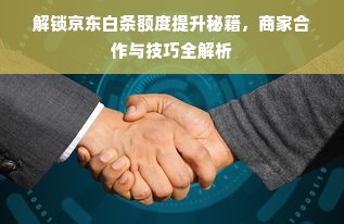 解锁京东白条额度提升秘籍，商家合作与技巧全解析