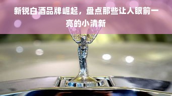 新锐白酒品牌崛起，盘点那些让人眼前一亮的小清新