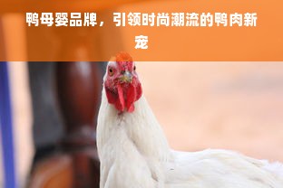 鸭母婴品牌，引领时尚潮流的鸭肉新宠